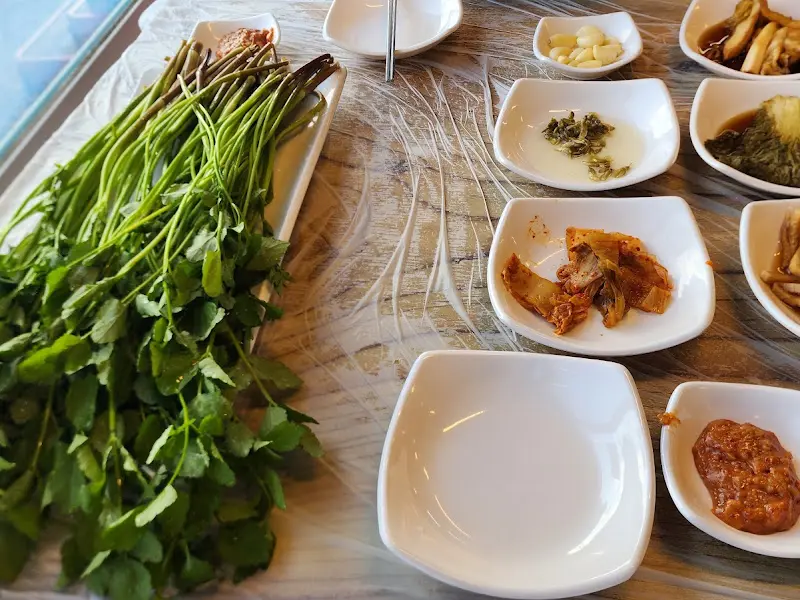 싱싱한 한재 미나리의 모습