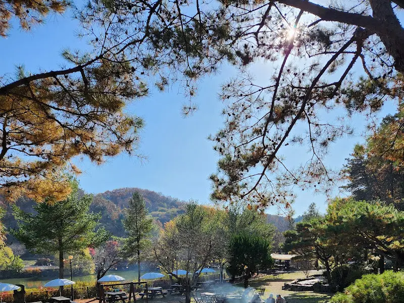 카페 야외 전경