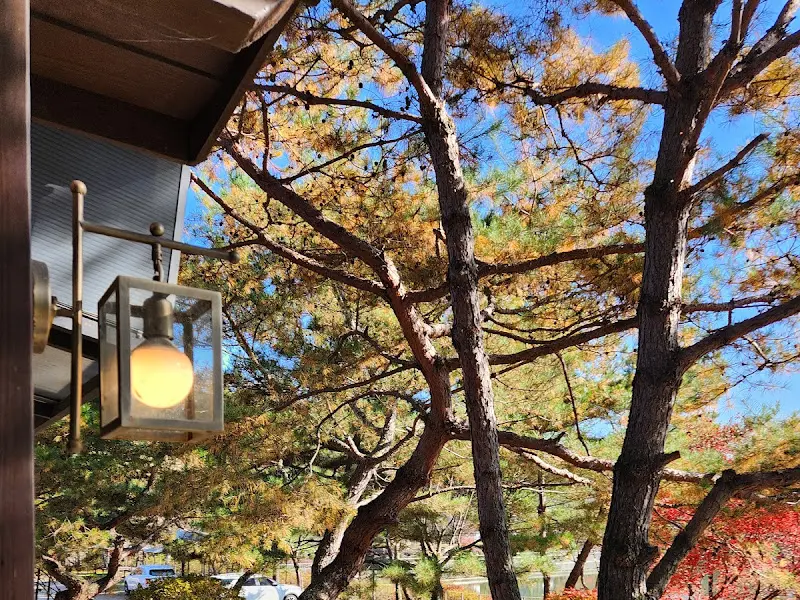 카페 건물과 나무