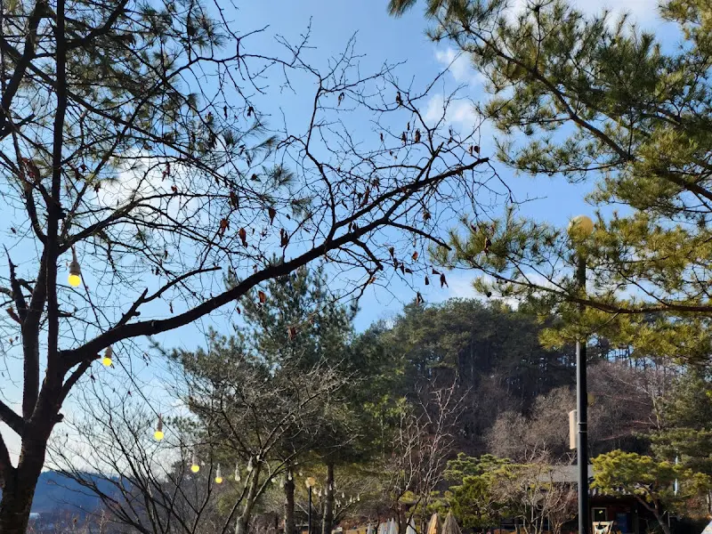 카페 외부 풍경