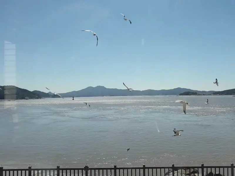 창밖으로 보이는 바다 풍경