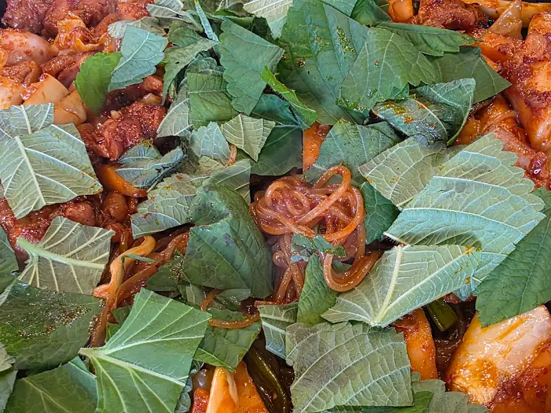 김래하 닭갈비 닭갈비 쫄면사리