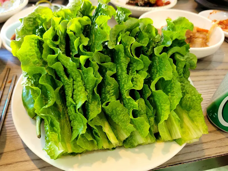 싱싱한 쌈 채소