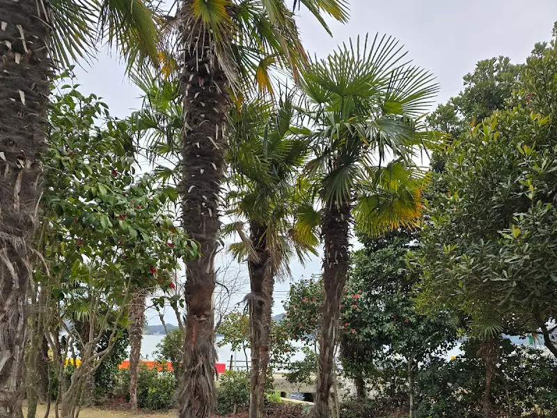 식당 정원의 야자수