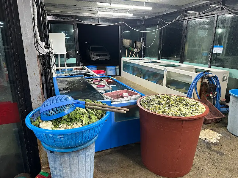 식당 앞 수조 모습