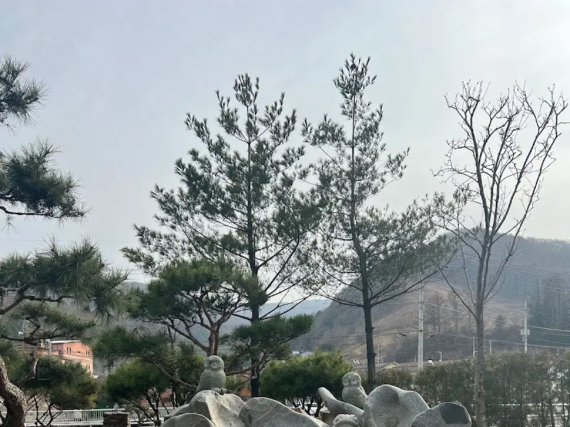 태백 호텔 주변의 풍경