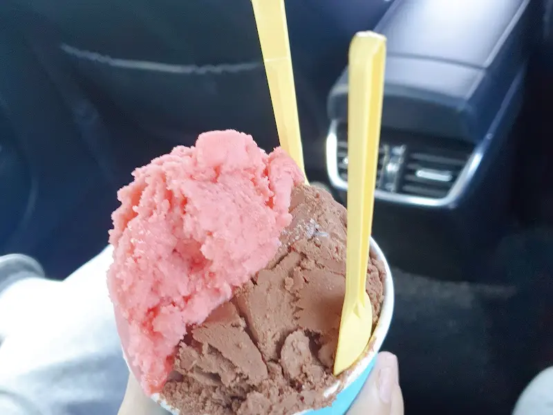 딸기, 초코 젤라또