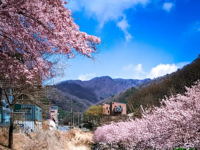 산속비버스 가는 길