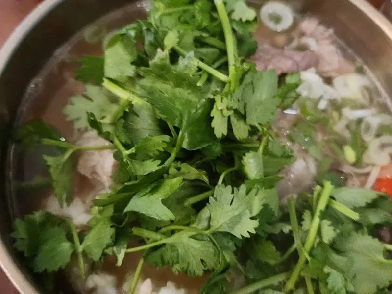 고수를 듬뿍 올린 온반