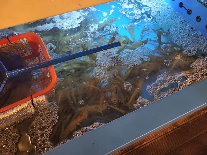 싱싱한 해산물이 가득한 수조