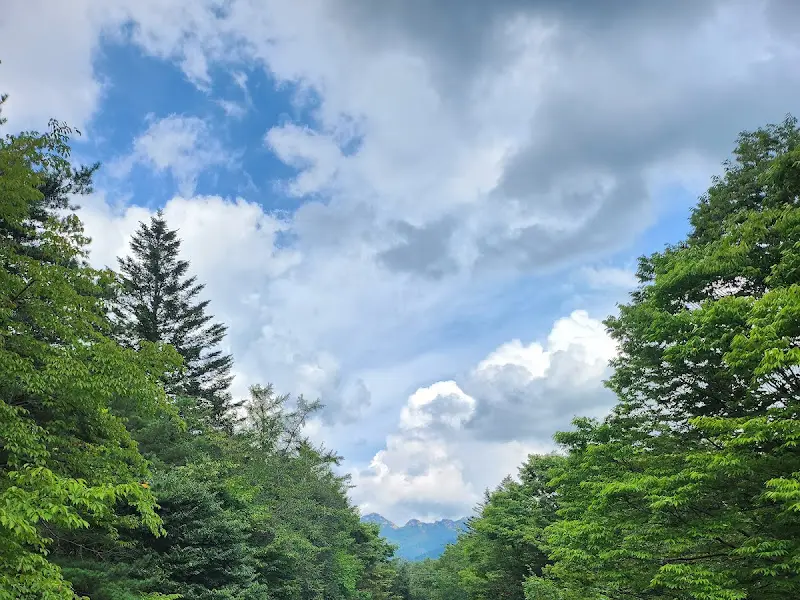 속리산 가는 길