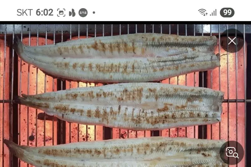 숯불 위에서 구워지기 전 장어