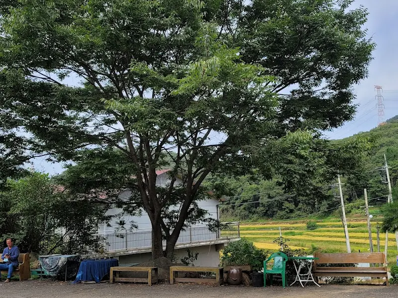 식당 주변 풍경