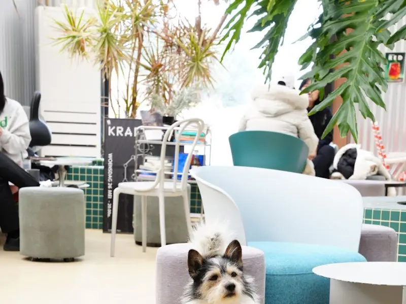 카페 내부 인테리어