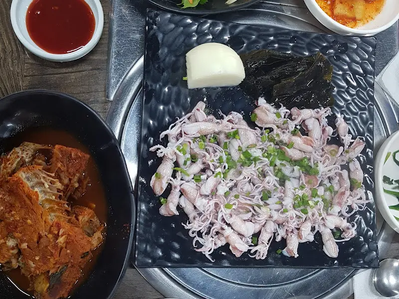 싱싱한 호래기회