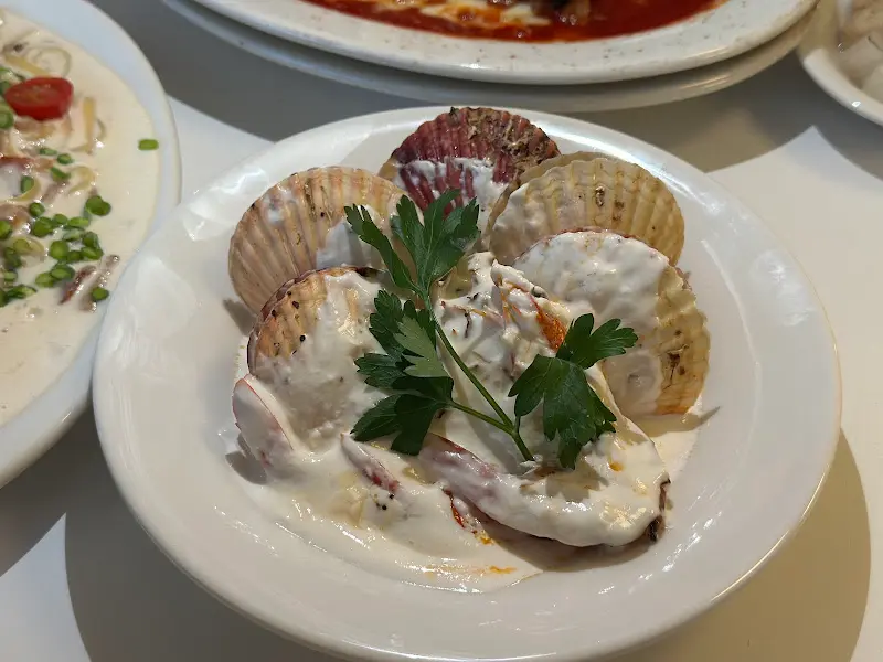 크림 스튜 클로즈업