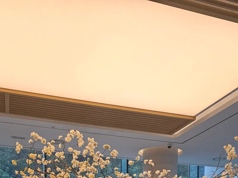 따뜻한 조명 아래 핀 꽃