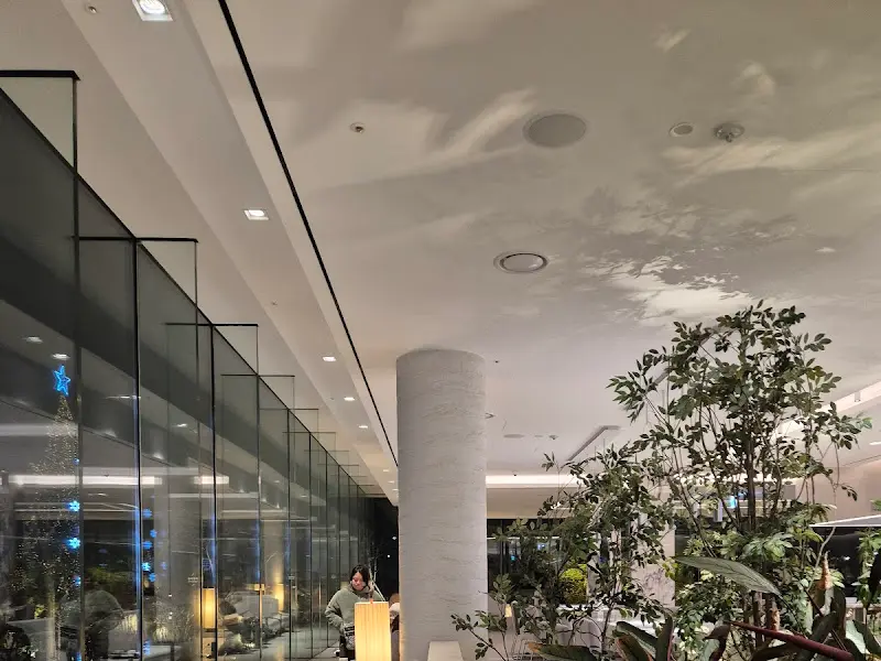 실내를 가득 채운 싱그러운 식물들