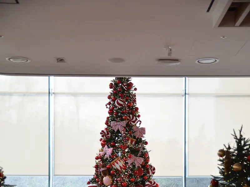 크리스마스 분위기를 더하는 대형 트리