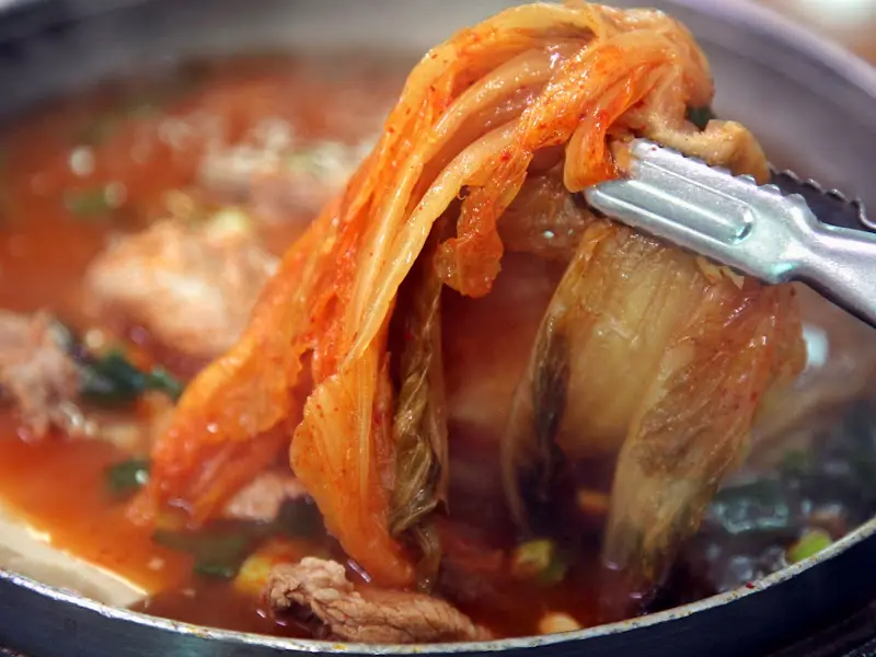 잘 익은 김치를 집게로 들어올리는 모습