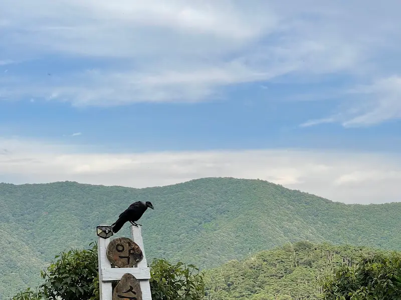 여항산의 아름다운 풍경