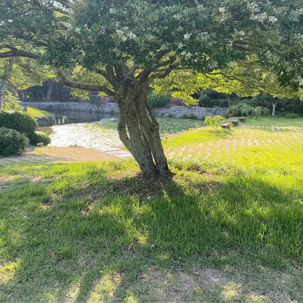 싱그러운 나무가 드리워진 정원의 모습