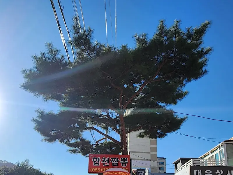 합천짬뽕 표지판