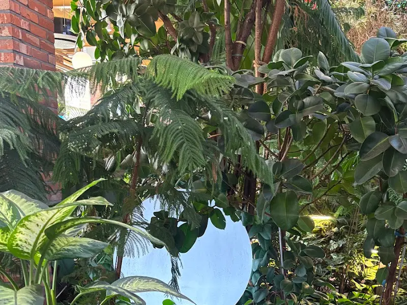 카페 내부의 식물 인테리어