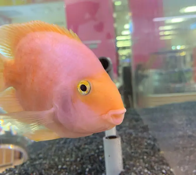 매장 인테리어와는 관련 없는 사진4