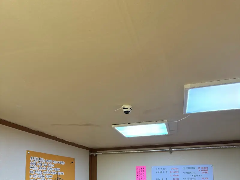 가게 천장의 조명과 CCTV