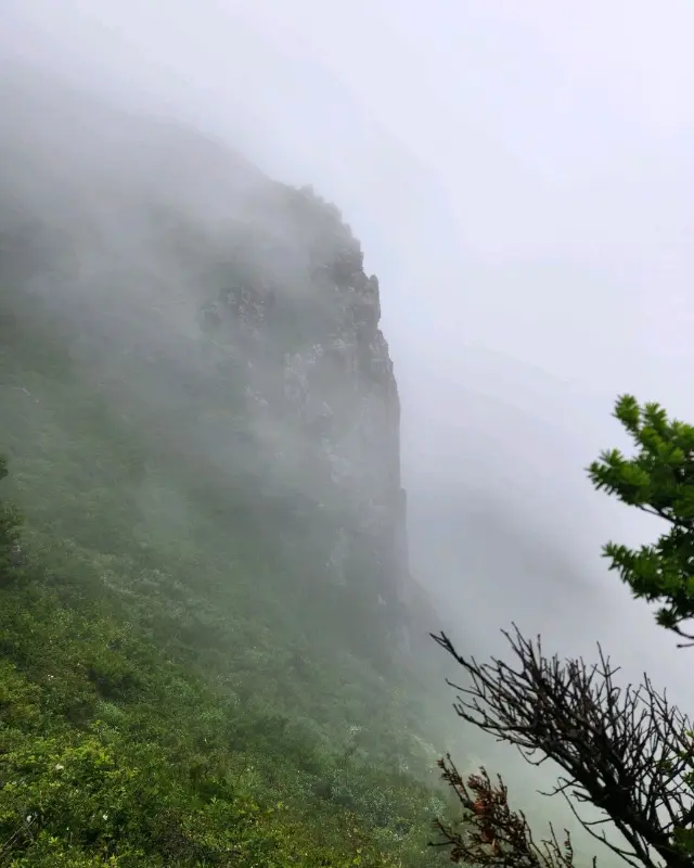 안개 낀 한라산 풍경