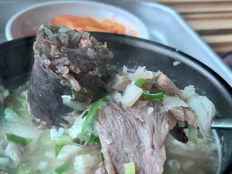 숟가락 위에 올려진 순대