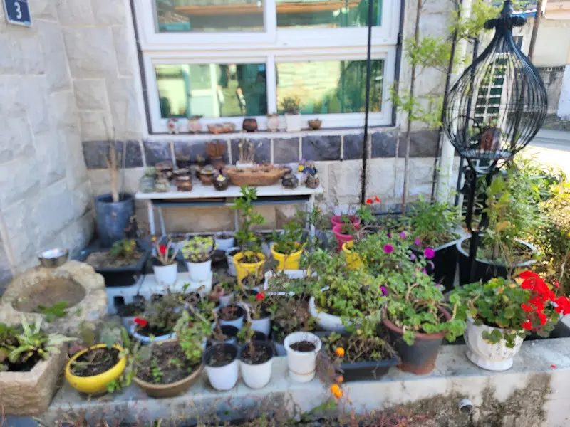 아기자기한 화분들