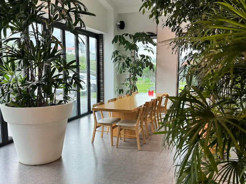 카페 내부 테이블과 식물 장식