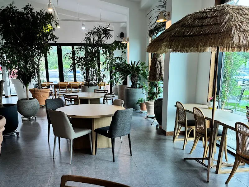 카페 내부의 테이블과 의자, 다양한 식물들