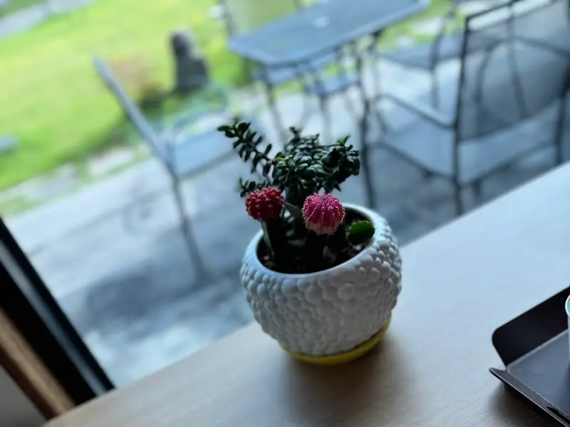 테이블 위의 작은 화분 장식