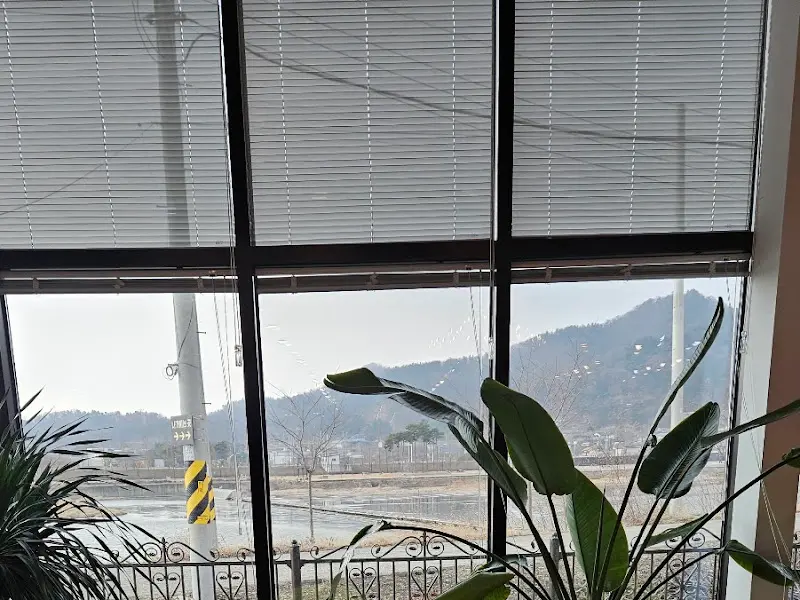 카페 창밖으로 보이는 강 풍경
