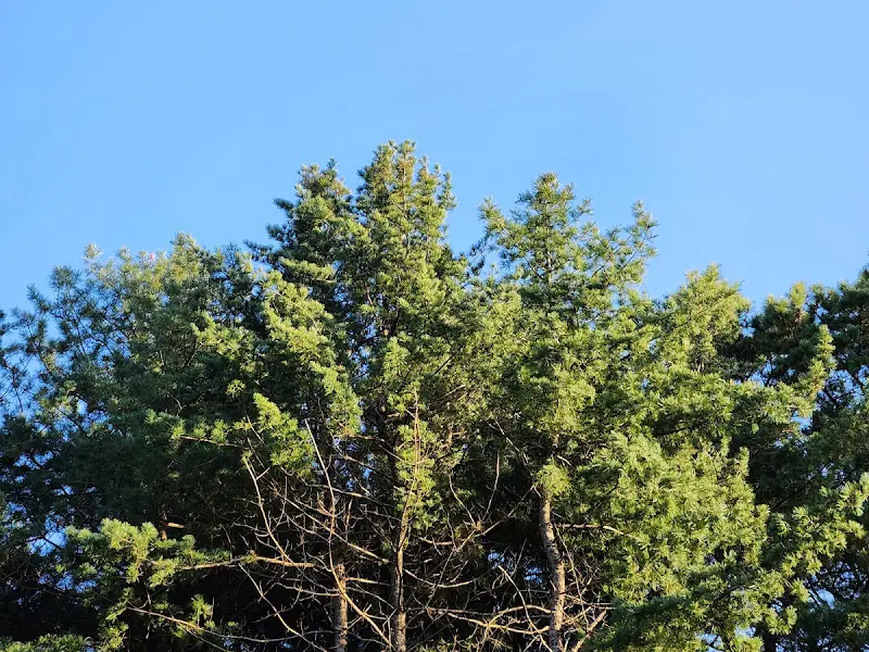 티하우스에덴 외부 정원