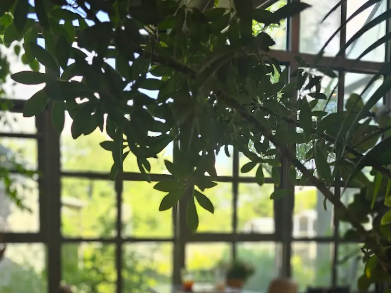 창밖으로 보이는 푸르른 풍경