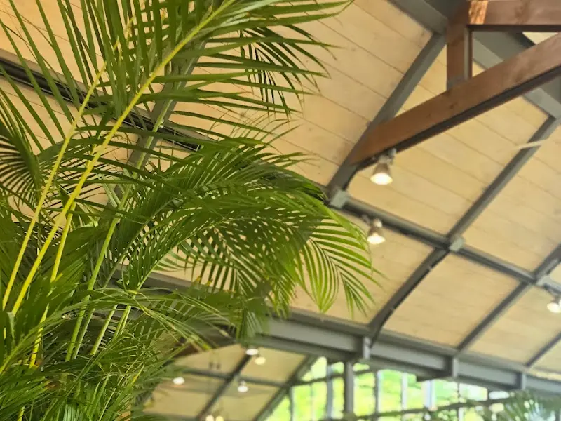 카페 내부 식물 장식