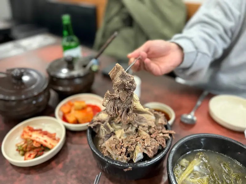 뼈다귀를 들어 올리는 모습