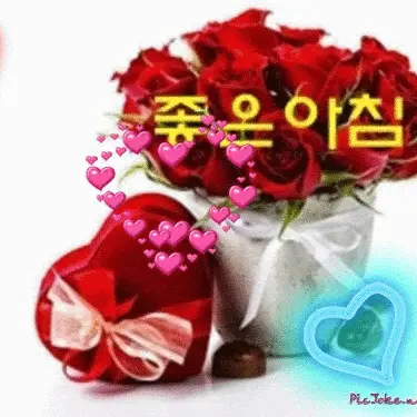 붉은 장미와 하트