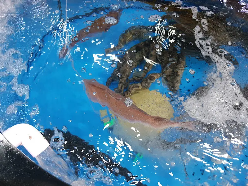 수족관 속 물고기