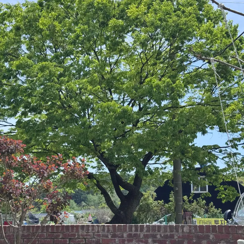 카페 외부 풍경