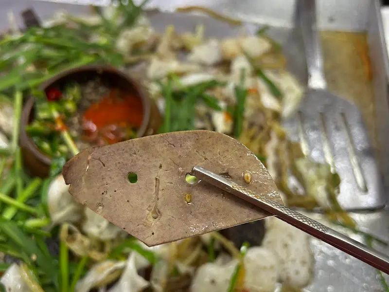 젓가락으로 집어 올린 간