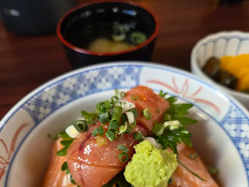 사케동 클로즈업