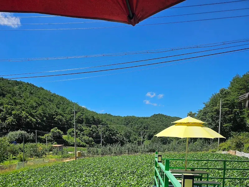 작은하늘 주변 풍경