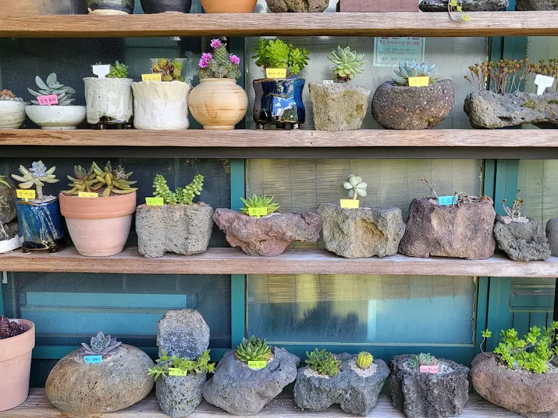 식당 앞마당에 핀 예쁜 꽃들