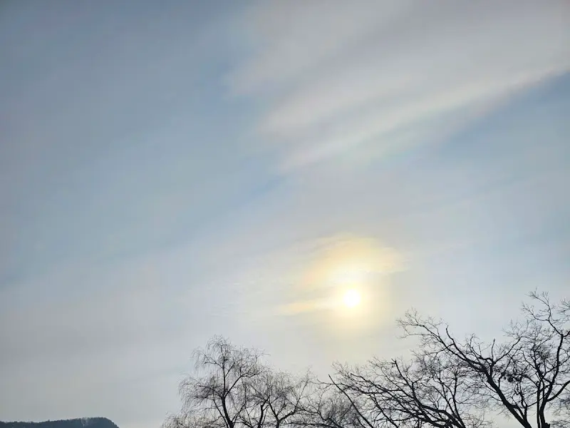 따스한 햇살이 내리쬐는 풍경