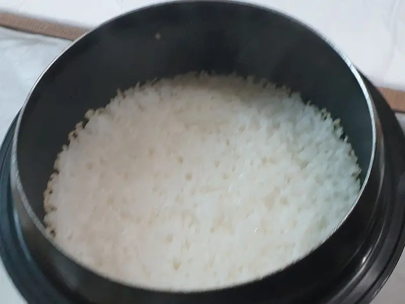 갓 지은 냄비밥